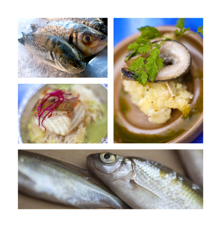 Fish dish collageの写真素材