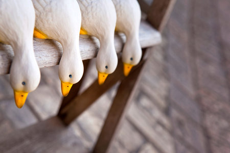 Wooden goose on a shelf in a gift shopの写真素材