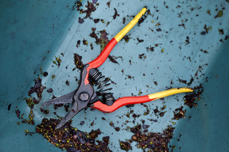 Shears in harvester basketsの写真素材