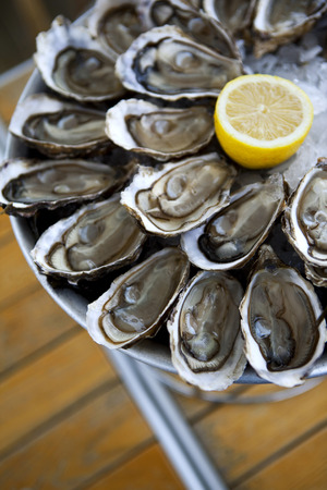 Oysters on a plateの写真素材