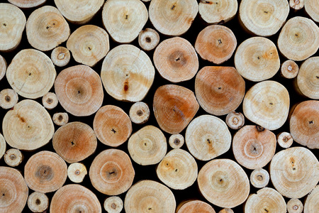 Wooden backgroundの写真素材