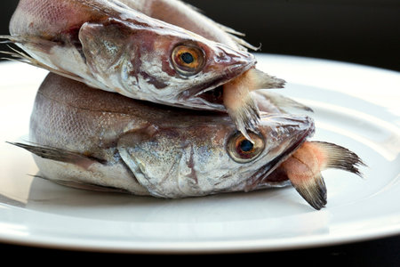 Two hakes in a plate