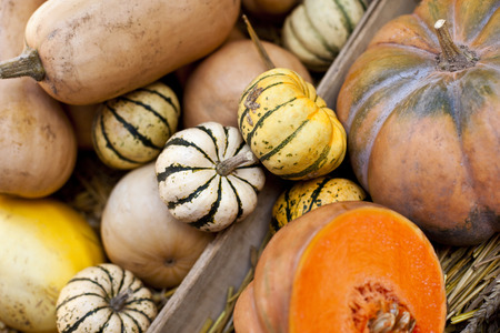 Pumpkins on a market stallの写真素材