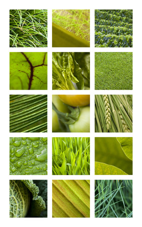 Collage of various green texturesの写真素材