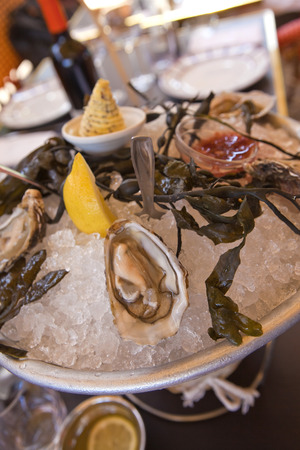 Plate of oysters in a restaurantの写真素材