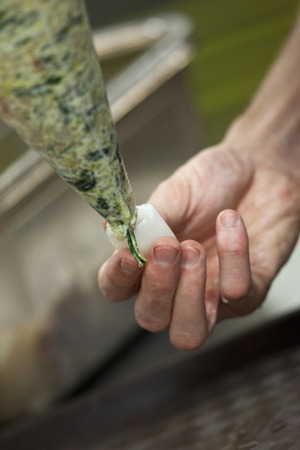 Close up of a cook stuffing squid with herb creamの写真素材