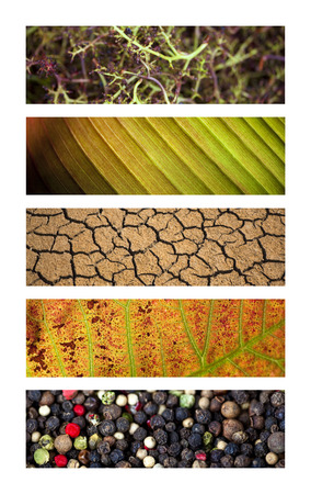 Various natural textures and backgrounds on a collageの写真素材