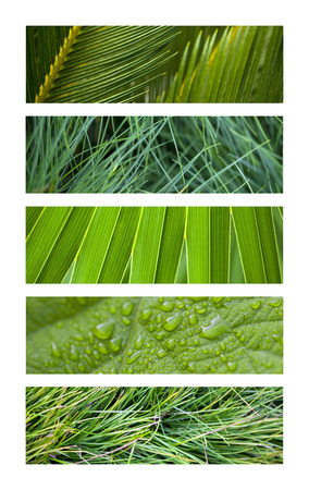 Natural textures and backgrounds on a collageの写真素材