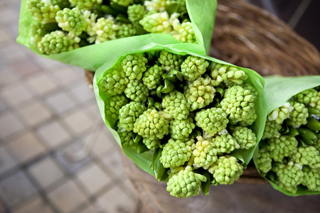 Bunches of hyacinths in a florist shopの写真素材