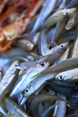 Background of various fishes on a market stallの写真素材