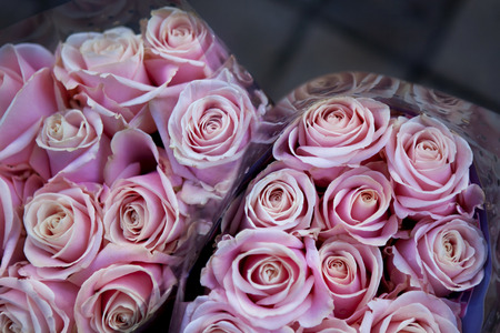 Close up of two bunches of roses in a flower shopの写真素材