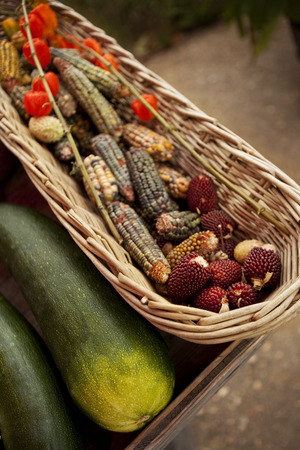 Zucchini, peppers, corn and arbutus berry on a market stallの写真素材