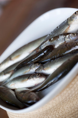 Fresh fishes on a porcelain plate before cooking
