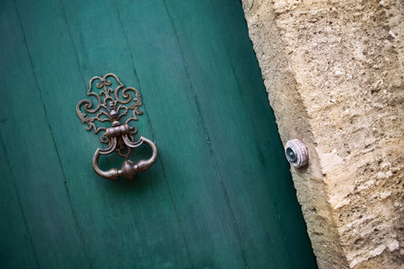 Knocker on the green door of a French mansion