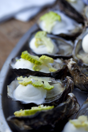Oysters, broccoli slice and cream on a plateの写真素材