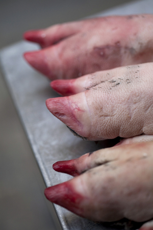 Close up of pork feet in a deli shopの写真素材