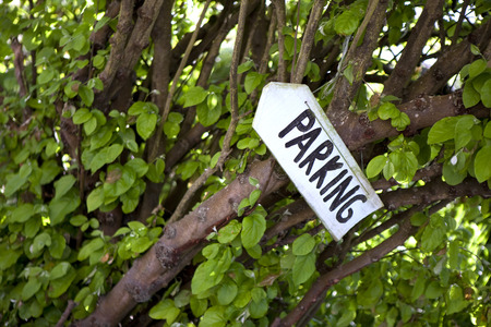 Parking sign hanging on trees in a gardenの写真素材