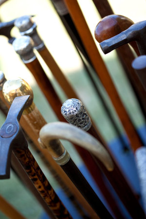 Various wooden canes in an antique shop