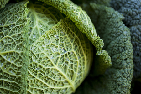 Close up of a green cabbage on a market stallの写真素材