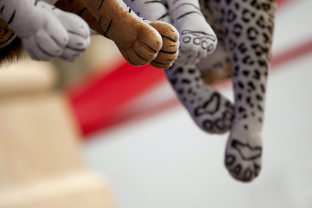 Legs of fluff hanging from a barrackの写真素材