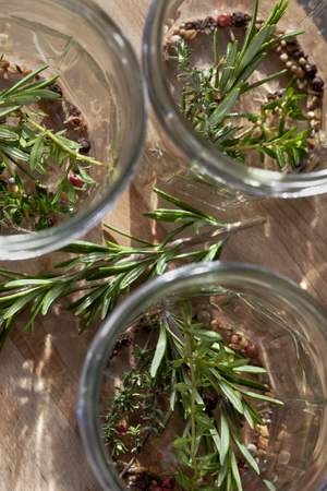 Potting natural ingredients in pots for olive fruitsの写真素材
