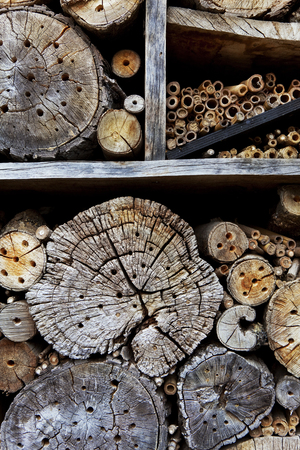 Logs and pieces of wood in an insect hutの写真素材