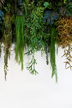 Various green plants on a white background