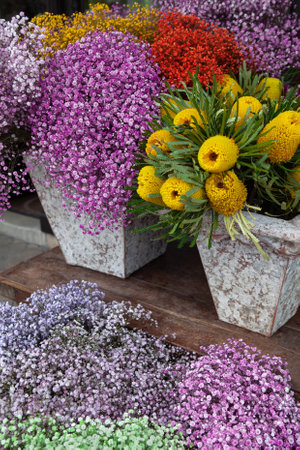 Colorful bouquets at the front of a flower shopの写真素材