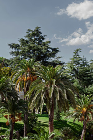 Close up of the Vatican Gardens in Romeの写真素材