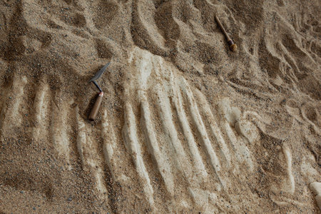 Skeleton in the desertの写真素材