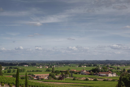 Vines and wineries in St Emilion village near Bordeauxの写真素材
