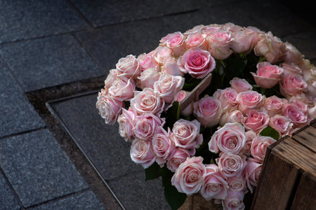 Bunch of roses on a sidewalkの写真素材
