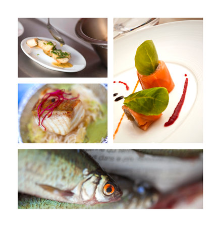 Collage of various fish dishesの写真素材
