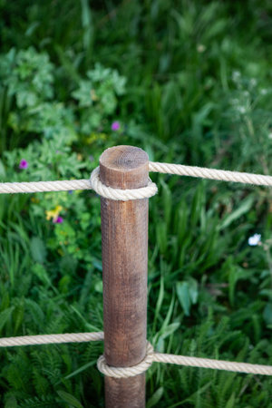 Wooden stake and rope on green background