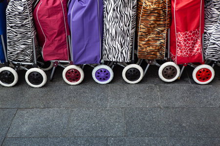 Series of shopping carts in colored canvas