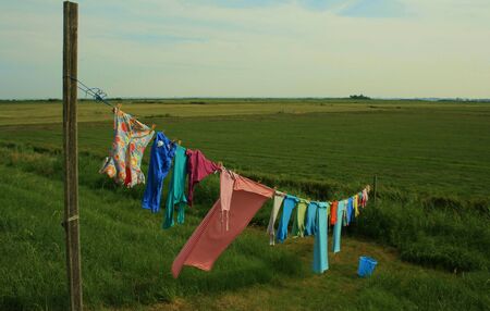 Colorful summer clothes hanging out to dry on rope above a field in dutch countrysideの写真素材