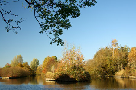 Autumn landscape with river and trees in the park on a sunny dayの写真素材