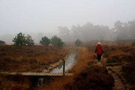 A woman in a red raincoat walks along a path in the fog.の写真素材