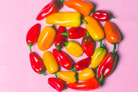 Circle of Red and Yellow Sweet Peppersの写真素材