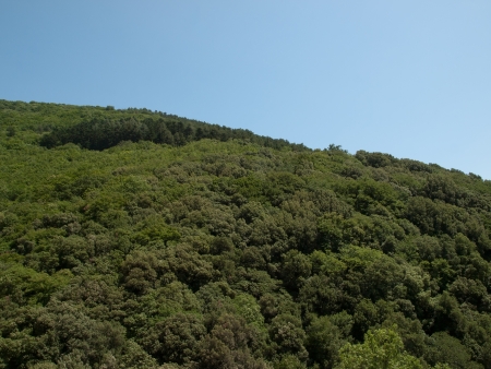 Natural Park Monte Subasio near Assisi ,Italyの写真素材