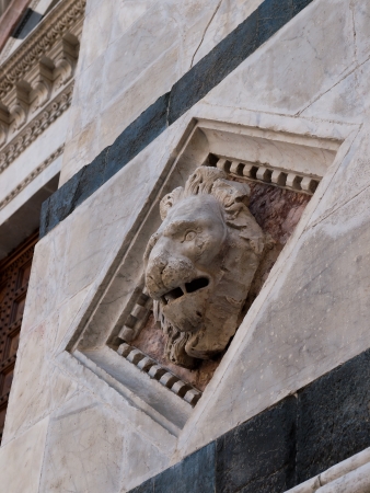 The lion from the facade of  Cathedral in Sienaの写真素材