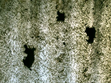 randomic patterの写真素材