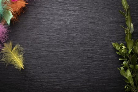 Background. Dark background, colorful feathers and green boxwood. Horizontal composition with space for textの写真素材