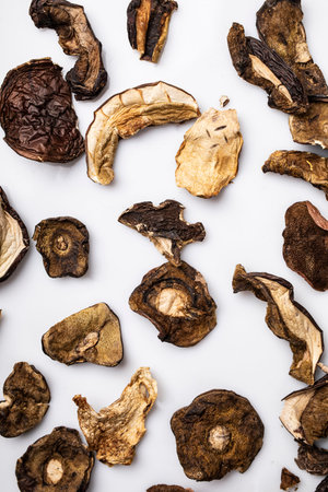 Background from dried mushrooms. Top view composition on a white background.の写真素材