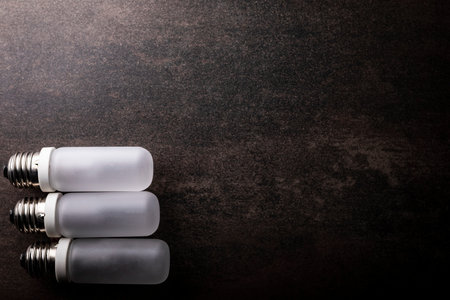 Bulb composition on a dark background, horizontal composition with space for text.