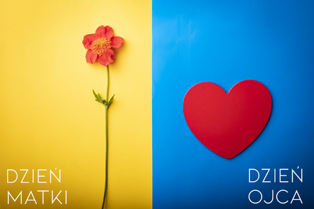 Composition for the holidays, with space for text.の写真素材