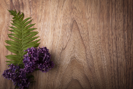 Frame, background to celebrate the holidays. Flowers and space for text.の写真素材