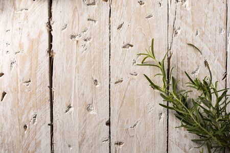 Composition with space for text, top viewの写真素材