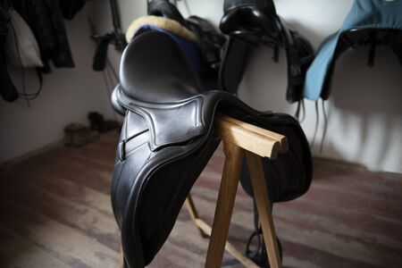 Horse stud. Rider's gear. Saddleの写真素材