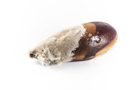 A large eggplant covered with mould. Rotten vegetable on a white background.の写真素材